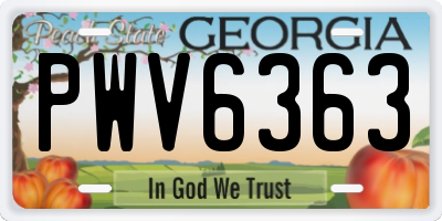 GA license plate PWV6363
