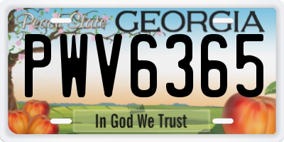 GA license plate PWV6365