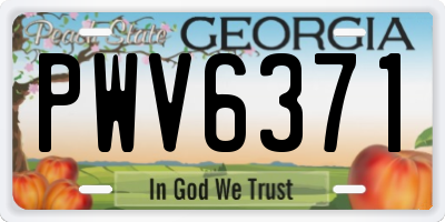 GA license plate PWV6371