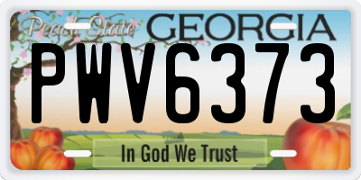 GA license plate PWV6373