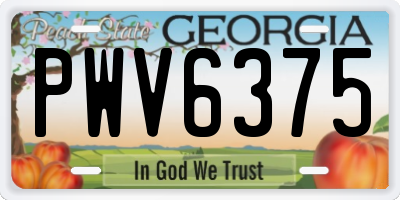 GA license plate PWV6375