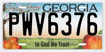 GA license plate PWV6376