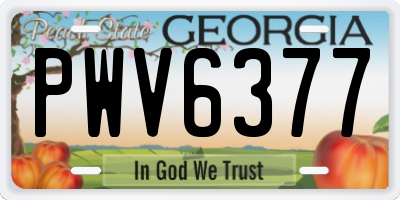 GA license plate PWV6377