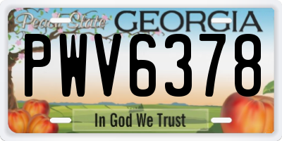 GA license plate PWV6378