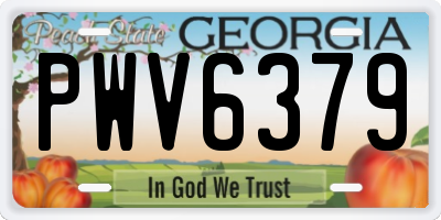 GA license plate PWV6379