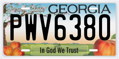 GA license plate PWV6380