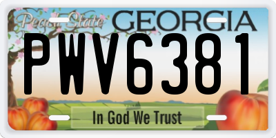 GA license plate PWV6381