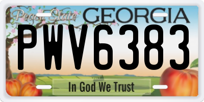 GA license plate PWV6383