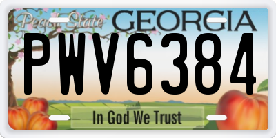 GA license plate PWV6384