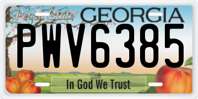 GA license plate PWV6385