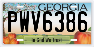 GA license plate PWV6386