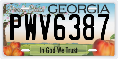 GA license plate PWV6387