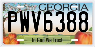 GA license plate PWV6388
