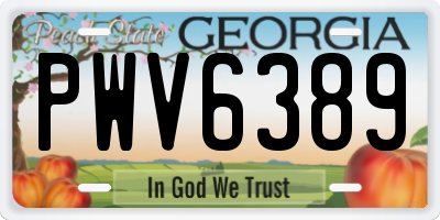 GA license plate PWV6389