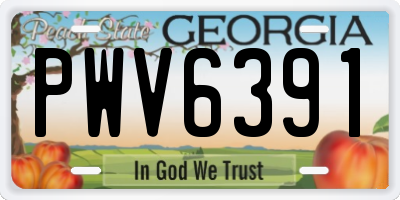 GA license plate PWV6391