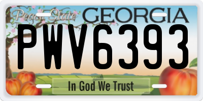 GA license plate PWV6393