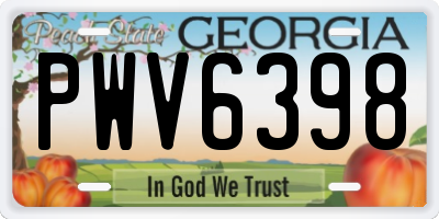 GA license plate PWV6398