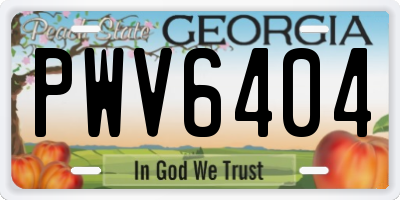 GA license plate PWV6404