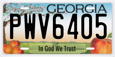 GA license plate PWV6405
