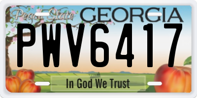GA license plate PWV6417