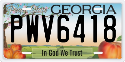 GA license plate PWV6418