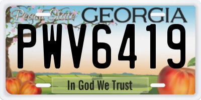 GA license plate PWV6419