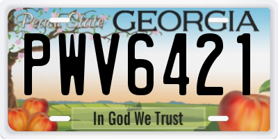 GA license plate PWV6421