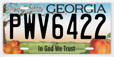 GA license plate PWV6422