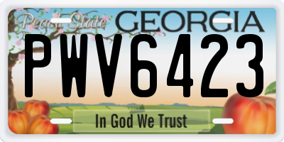 GA license plate PWV6423