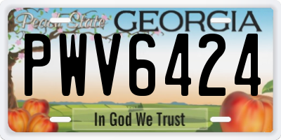 GA license plate PWV6424
