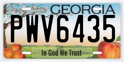 GA license plate PWV6435