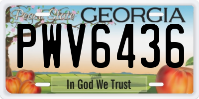 GA license plate PWV6436