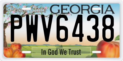GA license plate PWV6438
