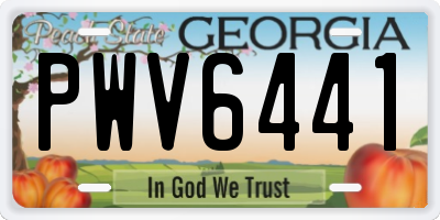 GA license plate PWV6441