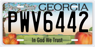 GA license plate PWV6442
