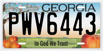 GA license plate PWV6443