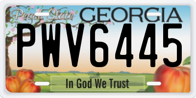 GA license plate PWV6445