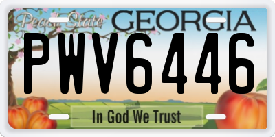 GA license plate PWV6446