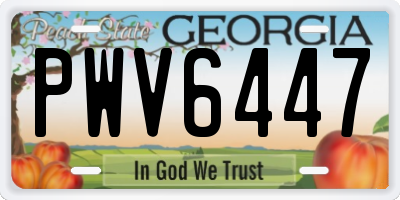 GA license plate PWV6447