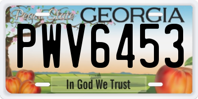 GA license plate PWV6453