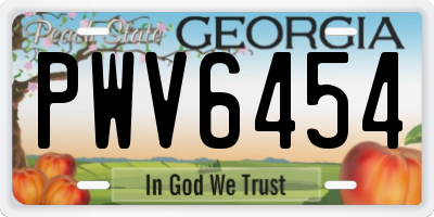 GA license plate PWV6454