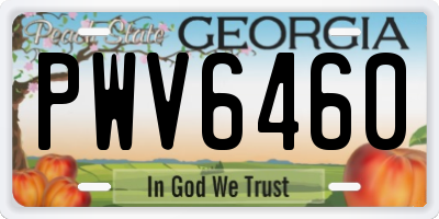 GA license plate PWV6460