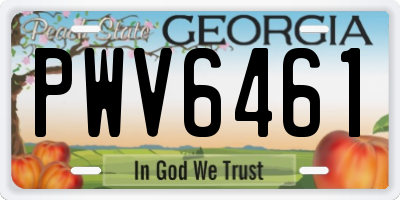 GA license plate PWV6461