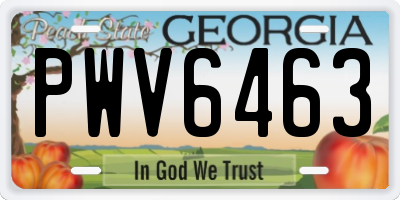 GA license plate PWV6463