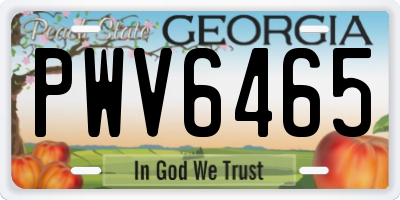 GA license plate PWV6465