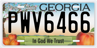 GA license plate PWV6466