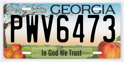 GA license plate PWV6473