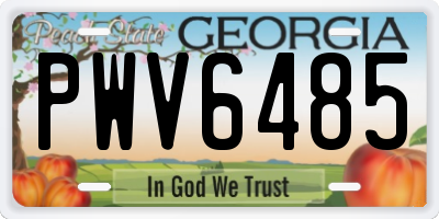 GA license plate PWV6485