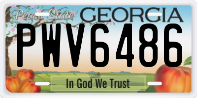GA license plate PWV6486