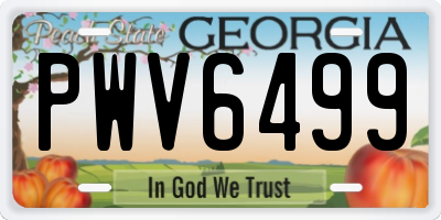 GA license plate PWV6499